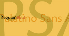 Palatino Sans Arabic