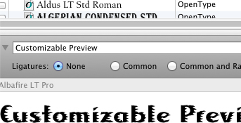 Customizable preview